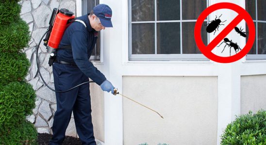 Akyazı Gümüşkurt İlaçlama böcek ilaçlama ve haşere kontrolü — ilaclama-tr.com